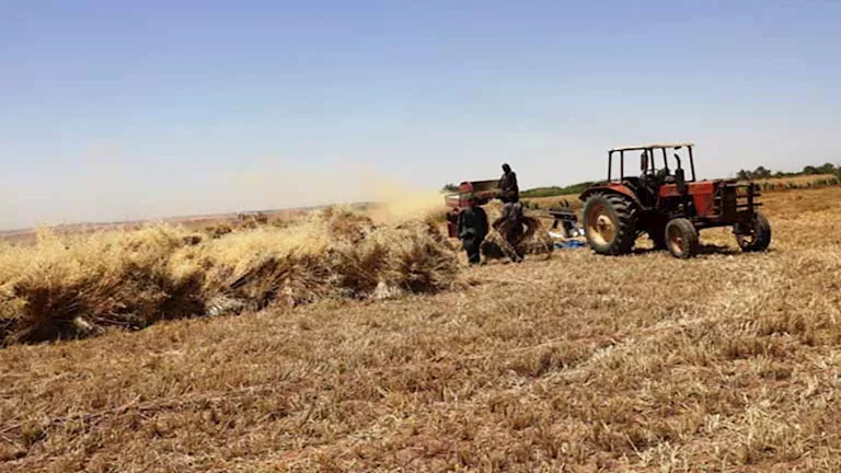 2025 8 8 15 48 25 186.webp