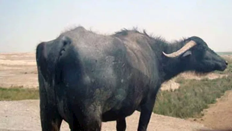 2026 3 1 16 47 12 141.webp