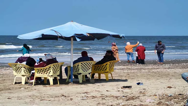 2026 4 10 16 30 10 833.webp