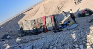 2026 4 10 18 56 3 197.webp