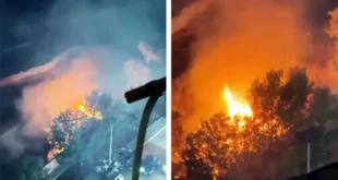 2026 4 10 22 24 48 261.webp