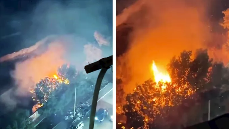 2026 4 10 22 24 48 261.webp