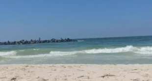 2026 4 10 22 45 54 762.webp