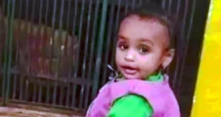 2026 4 10 23 14 7 91.webp