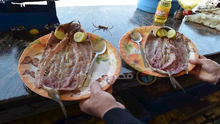 2026 4 11 12 48 25 64.webp