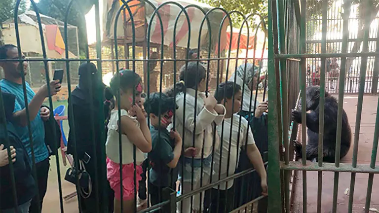 2026 4 11 17 28 59 870.webp