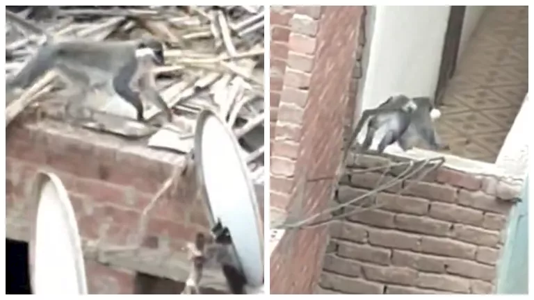 2026 4 11 20 46 4 42.webp