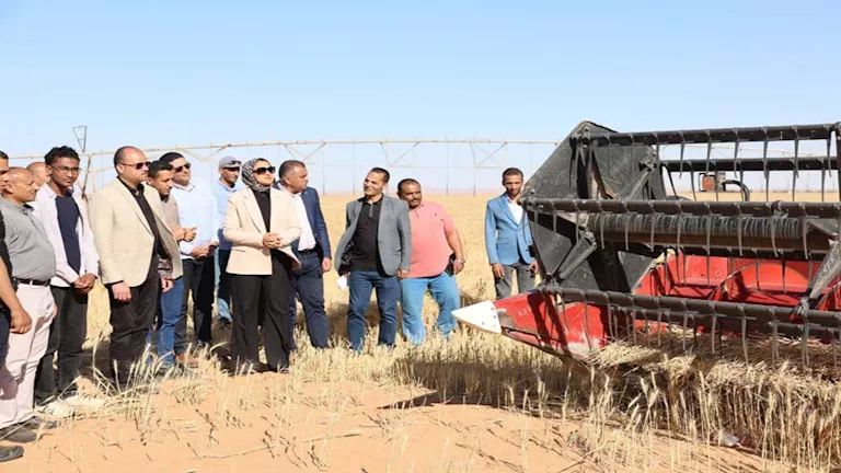 2026 4 11 21 50 11 683.webp