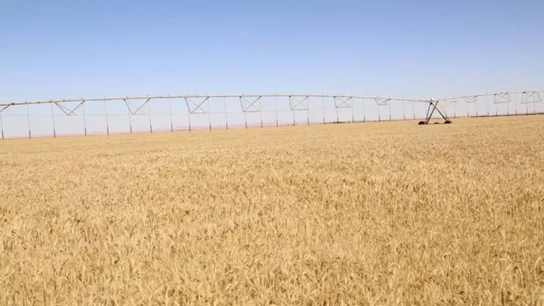 2026 4 11 21 50 13 636.webp