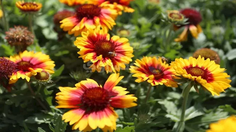 2026 4 12 15 33 12 652.webp