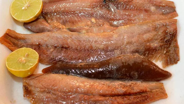 2026 4 12 17 8 41 772.webp