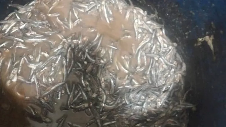 2026 4 12 23 41 28 336.webp