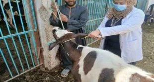 2026 4 13 11 6 14 448.webp