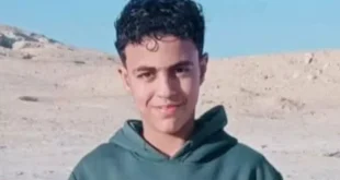 2026 4 13 12 46 38 574.webp