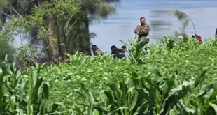 2026 4 14 15 54 42 541.webp