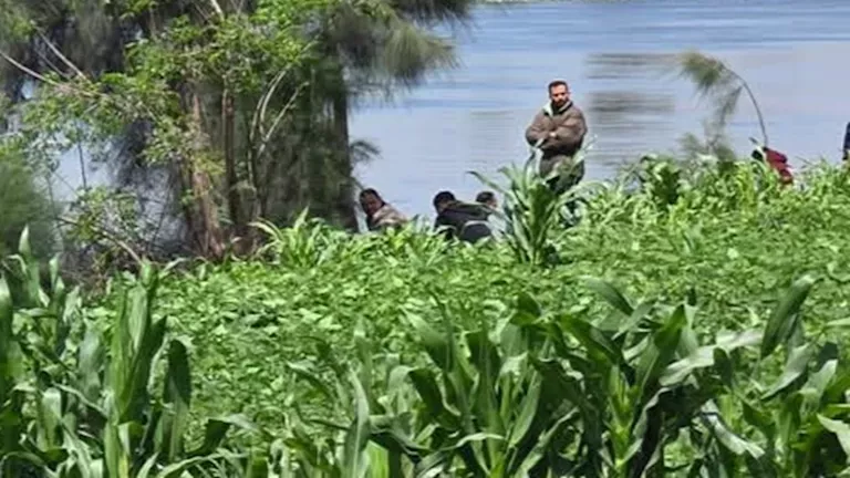 2026 4 14 15 54 42 541.webp