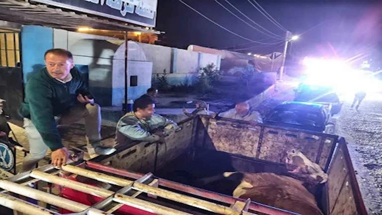 2026 4 14 1 53 41 919.webp