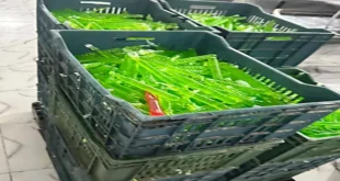 2026 4 15 17 0 50 106.webp