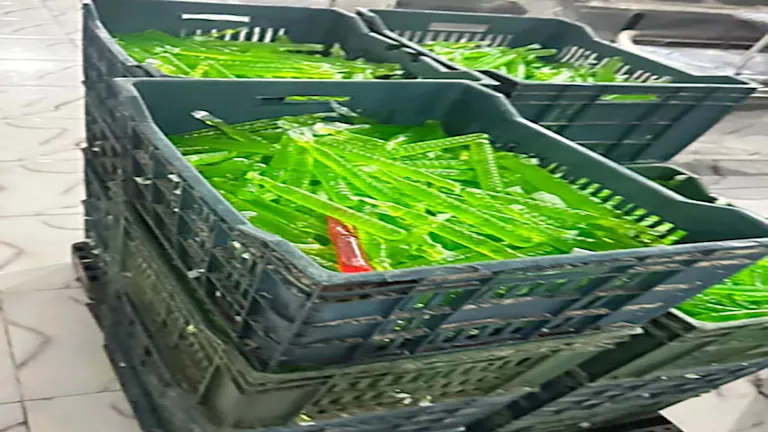 2026 4 15 17 0 50 106.webp