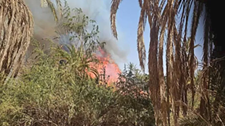 2026 4 16 15 9 40 400.webp