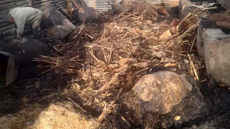 2026 4 16 17 58 37 455.webp