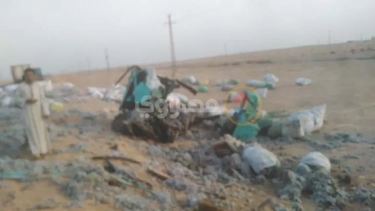 2026 4 16 20 6 56 213.webp