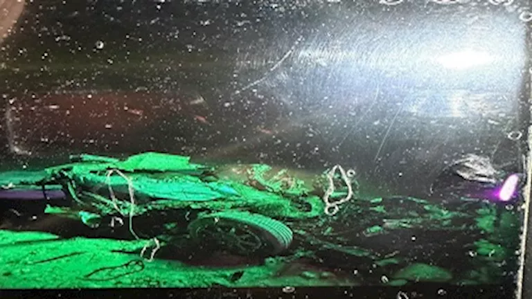 2026 4 6 7 40 6 714.webp