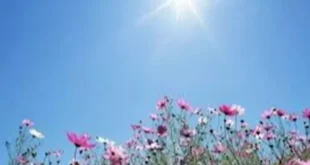 2026 4 8 12 24 26 833.webp