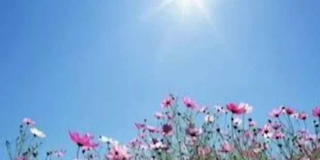 2026 4 8 12 24 26 833.webp