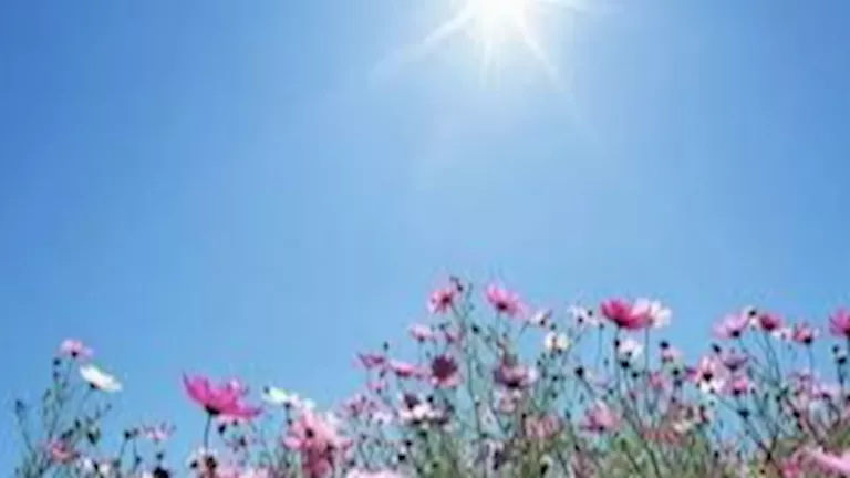 2026 4 8 12 24 26 833.webp