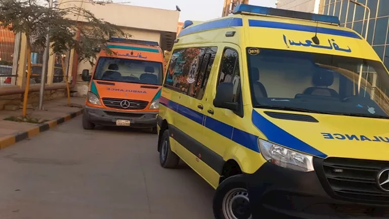 2026 4 8 21 27 19 739.webp