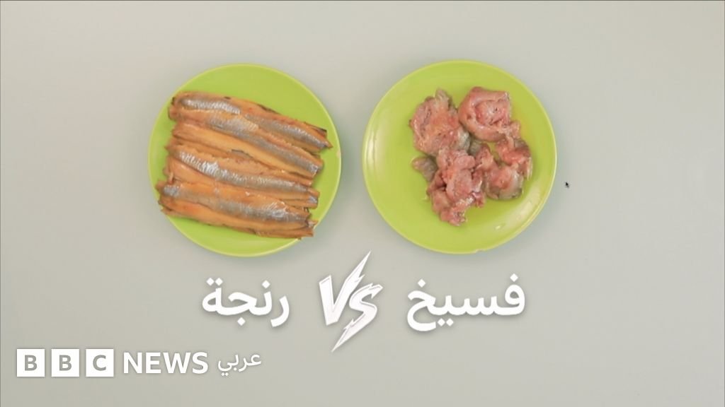 439a3b70 373d 11f1 9d5c 8ba507d7dbde