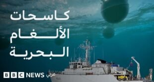 5e9bc230 38dd 11f1 879d 1b2f5c3919b8