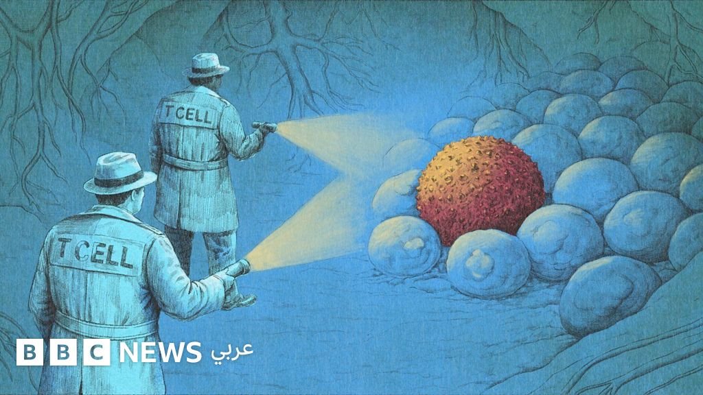 "أشبه بالخيال العلمي": كيف تُحدث موجة جديدة من العلاج المناعي ثورة في القضاء على السرطانات؟ 1 b37e13a0 381c 11f1 8606 05fe34b06e1b
