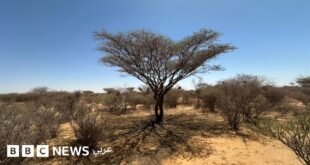 eaceaf90 38c6 11f1 879d 1b2f5c3919b8