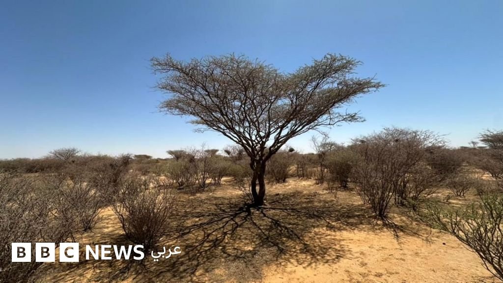 eaceaf90 38c6 11f1 879d 1b2f5c3919b8