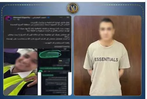 أجهزة الأمن تضبط موظفاً ابتز خطيبته السابقة بالقاهرة | ضي النهار download