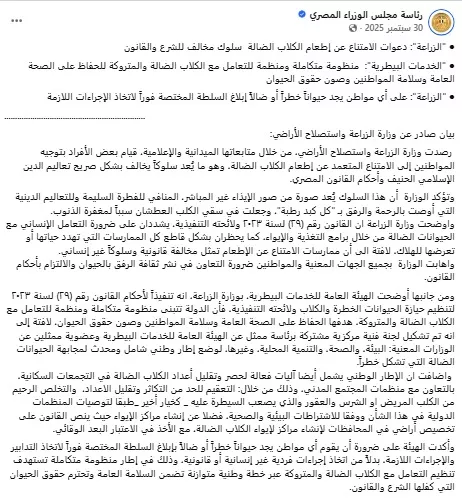 أزمة الكلاب الضالة تتفاقم.. انتقادات حادة لخطاب الهيئة البيطرية | ضي النهار الرفق بالحيوان
