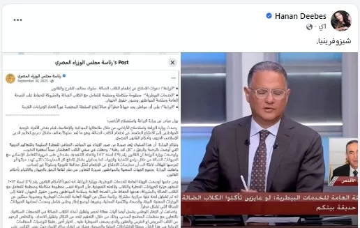 أزمة الكلاب الضالة تتفاقم.. انتقادات حادة لخطاب الهيئة البيطرية | ضي النهار الرفق بالحيوان