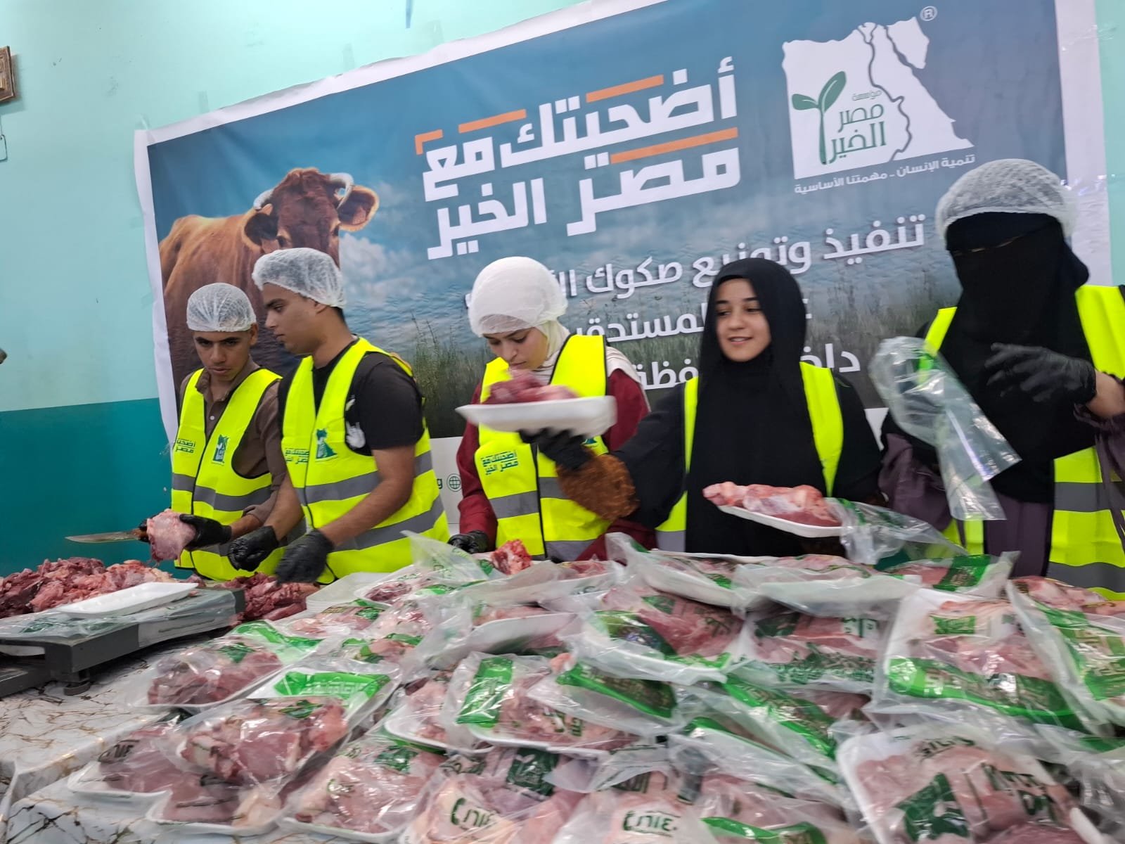 42 عجلًا تصل للأسر الأولى بالرعاية في أسيوط.. والمحافظة تواصل دعم مبادرات التكافل خلال العيد