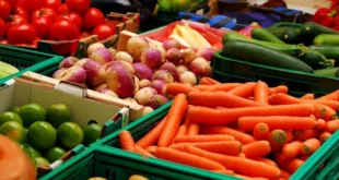 أسعار الخضروات والفاكهة في سوق العبور 13-5-2026