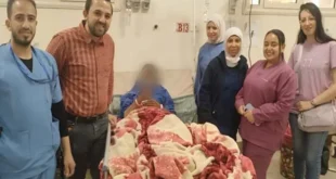 إنعاش قلبي عاجل ينقذ شابًا من الموت بعد لدغة ثعبان بالمنيا (صور)