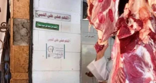 استعدادات مكثفة بمديرية الطب البيطري بأسوان لاستقبال عيد الأضحى