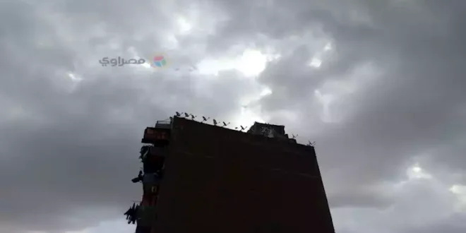 الأرصاد تحذر المواطنين من طقس اليوم الأربعاء.. ماذا قالت؟