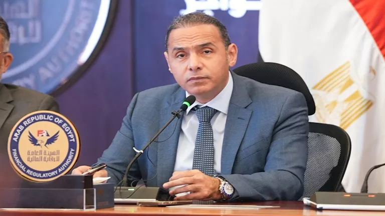 "الرقابة المالية" تكلف رحاب طه بالإشراف على قطاع التمويل المالي غير ال | ضي النهار الرقابة المالية: تعثر أقل من 3% في الأنشطة غير المصرفية