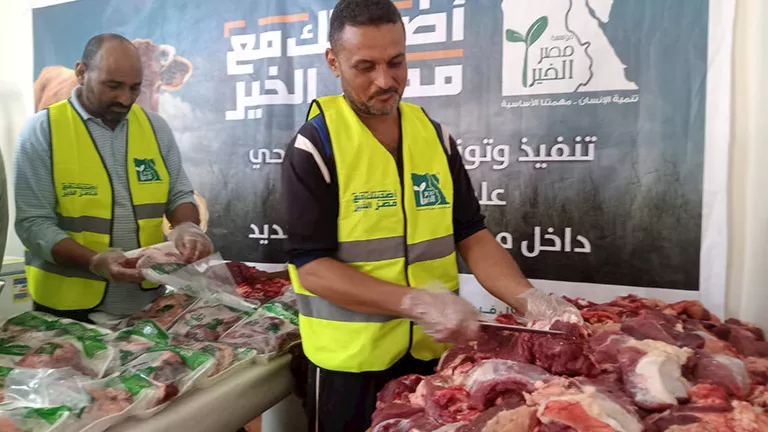الوادي الجديد تدعم الأسر الأكثر احتياجًا بتوزيع لحوم 54 أضحية | ضي النهار الوادي الجديد تدعم الأسر الأكثر احتياجًا بتوزيع لحوم 54 أضحية
