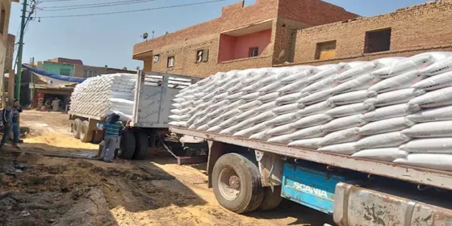 بأرصدة تتخطى 14 ألف طن.. انتظام صرف الأسمدة للمزارعين في بني سويف