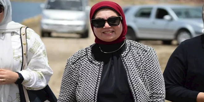 بورفؤاد تُحاصر "الناموس" بحملات رش مكثفة