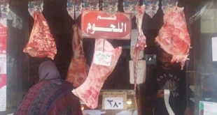 تموين الإسكندرية: خطة شاملة لتوفير السلع واللحوم قبل عيد الأضحى (صور)