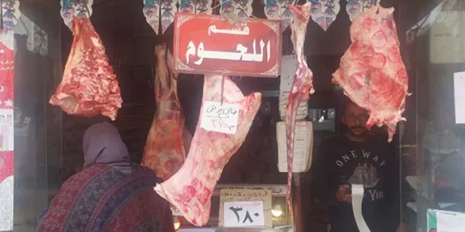 تموين الإسكندرية: خطة شاملة لتوفير السلع واللحوم قبل عيد الأضحى (صور)